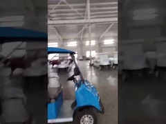 एक अनुकूलन योग्य दो-सीटर गोल्फ कार्ट के साथ अंतहीन रोमांच का अनुभव करें