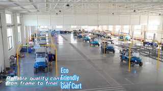 Elektrische golfkar: groene mobiliteitsoplossing