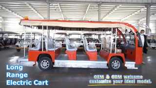 Custom Electric Golf Cart 50km Range Truck Bed