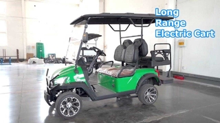 Elektrische golfkar 50 km bereik Truckbed op maat