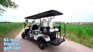 How Electric Golf Cart Works – Florscence New Energy Golf Cart Explained