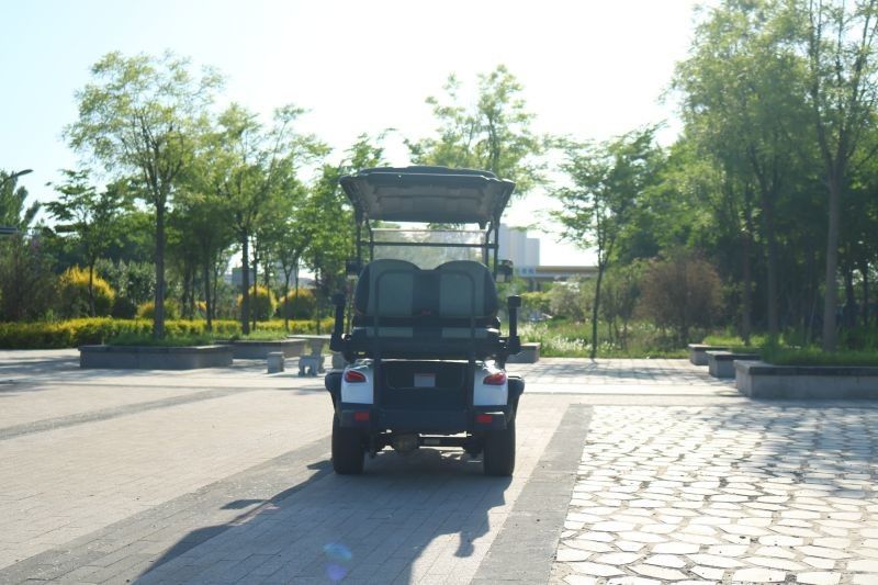 New 2+2 Seater Electric Golf Cart With Top Speed ​​Of 40mph And 12 Inch Road Tires Steel Body Mph Showed