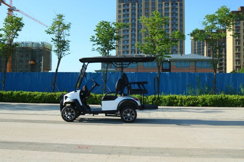 New 2+2 Seater Electric Golf Cart With Top Speed ​​Of 40mph And 12 Inch Road Tires Steel Body Mph Showed