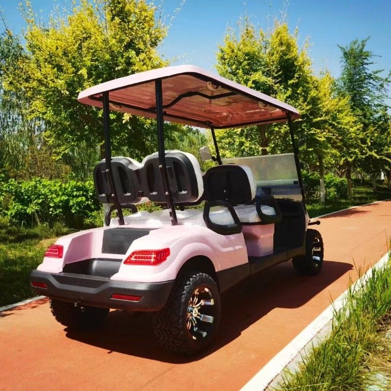 Pink Color 60V 4KW AC System EV Golf Cart New Energy Off  Road Electric Golf  Cart