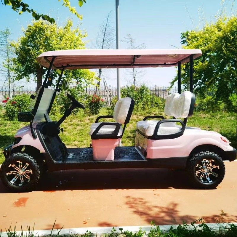 Pink Color 60V 4KW AC System EV Golf Cart New Energy Off  Road Electric Golf  Cart