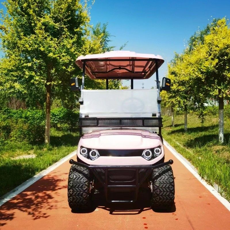 Pink Color 60V 4KW AC System EV Golf Cart New Energy Off  Road Electric Golf  Cart