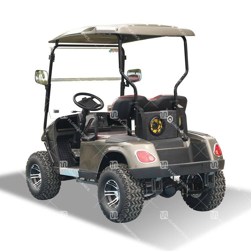 Electric Golf Cart 2-seater 3.5kw 60V Stroller Buggy Unequipped For Caddy Brake Drum