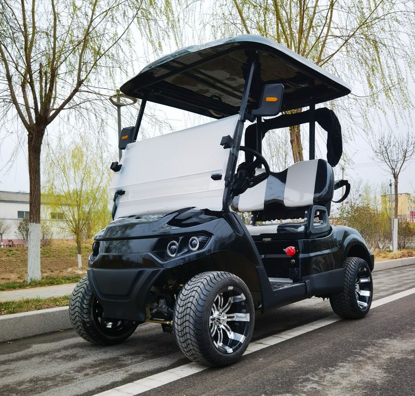 Long Range 3500W 60V 100AH Lead Batteries 2 Seater Golf Cart 12 Inch Off Road Tire Ev Golf Cart