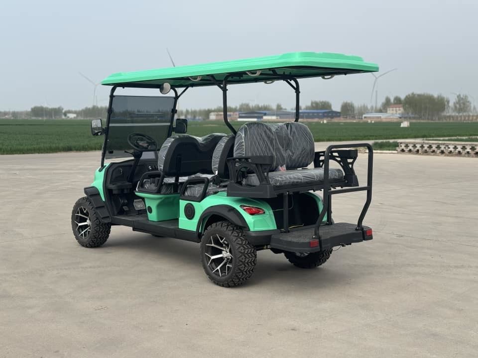 Curtis Controller EV Golf Cart High Power Motor 14 Tires Luxury Seats Best selling in the United States