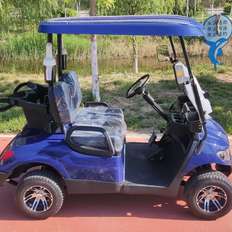 2 Seater Golf Cart 30 KM/H 60V 100AH Lead Acid Cell Operated EV Golf Cart