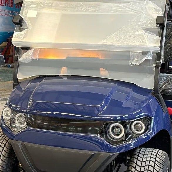 2 Seater Golf Cart 30 KM/H 60V 100AH Lead Acid Cell Operated EV Golf Cart