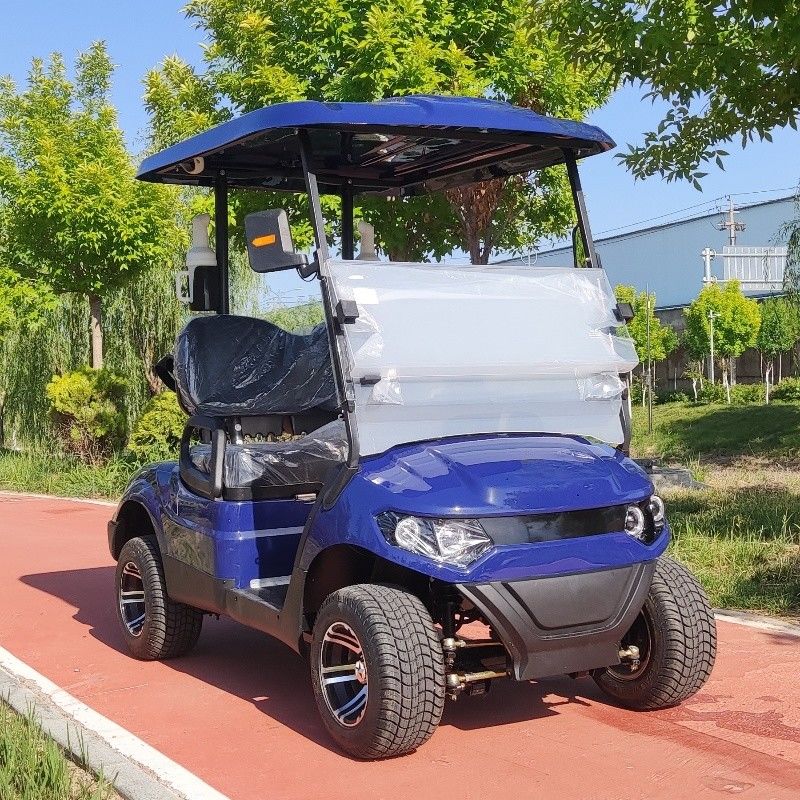 2 Seater Golf Cart 30 KM/H 60V 100AH Lead Acid Cell Operated EV Golf Cart