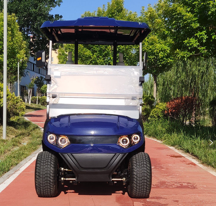 2 Seater Golf Cart 30 KM/H 60V 100AH Lead Acid Cell Operated EV Golf Cart