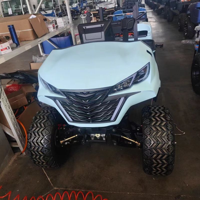 New Designed 2 Seat Electric Golf  Cart 4KW Four Wheeler Durable Electric Golf  Buggy