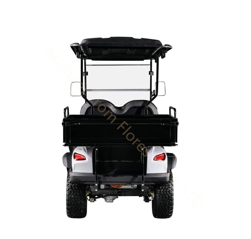 Hunting vehicle Buggy Off Road Electric Golf Cart 4-seater 2+2 seats with cargo bucket battery 4kw 60V 100Ah