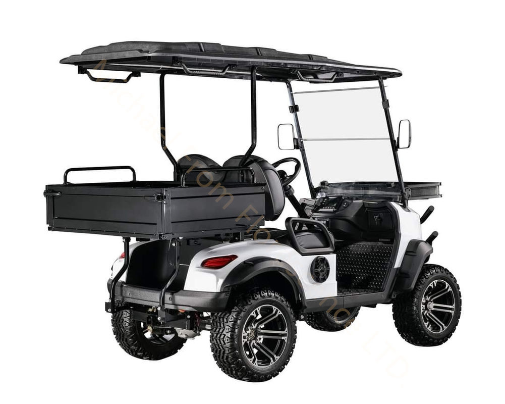 Hunting vehicle Buggy Off Road Electric Golf Cart 4-seater 2+2 seats with cargo bucket battery 4kw 60V 100Ah