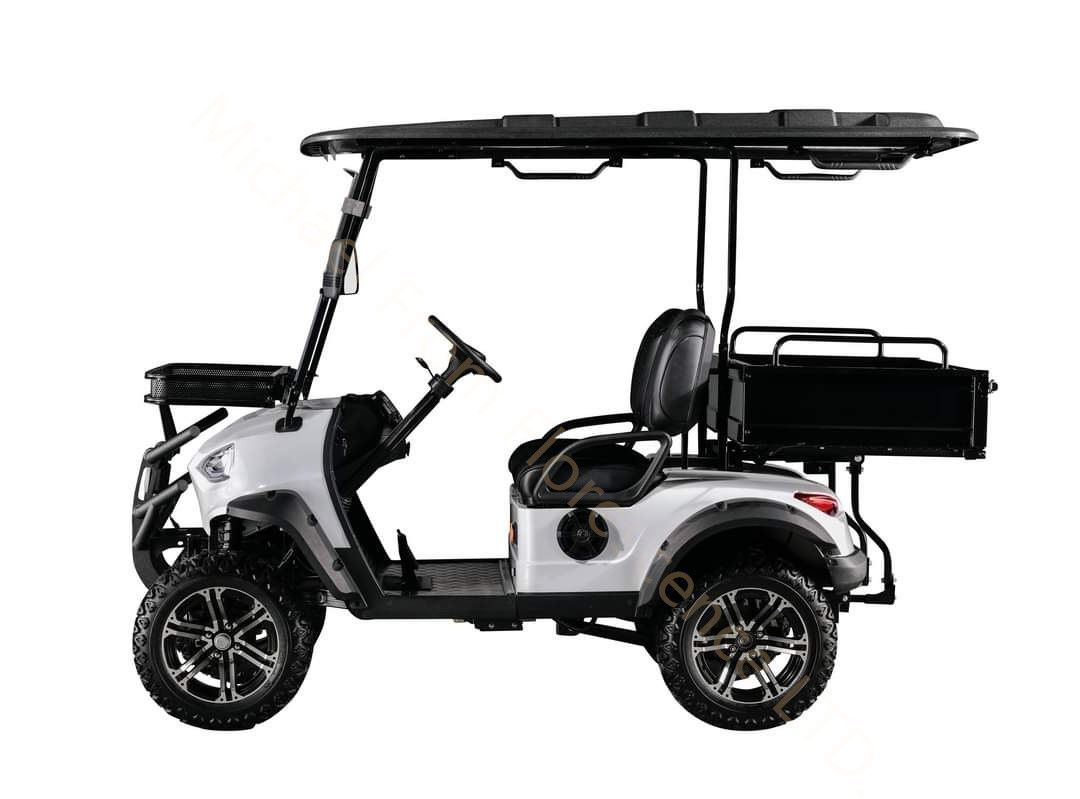 Hunting vehicle Buggy Off Road Electric Golf Cart 4-seater 2+2 seats with cargo bucket battery 4kw 60V 100Ah