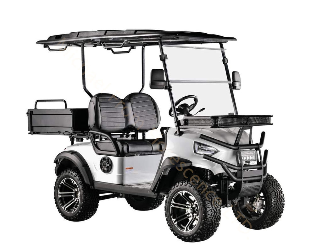 Hunting vehicle Buggy Off Road Electric Golf Cart 4-seater 2+2 seats with cargo bucket battery 4kw 60V 100Ah