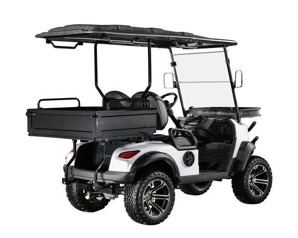 Support Customized Two-Seater Cargo Truck 4kw Aluminum Alloy Carbon Steel Plastic Rear Bucket