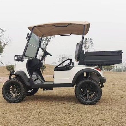 Support Customized Two-Seater Cargo Truck 4kw Aluminum Alloy Carbon Steel Plastic Rear Bucket