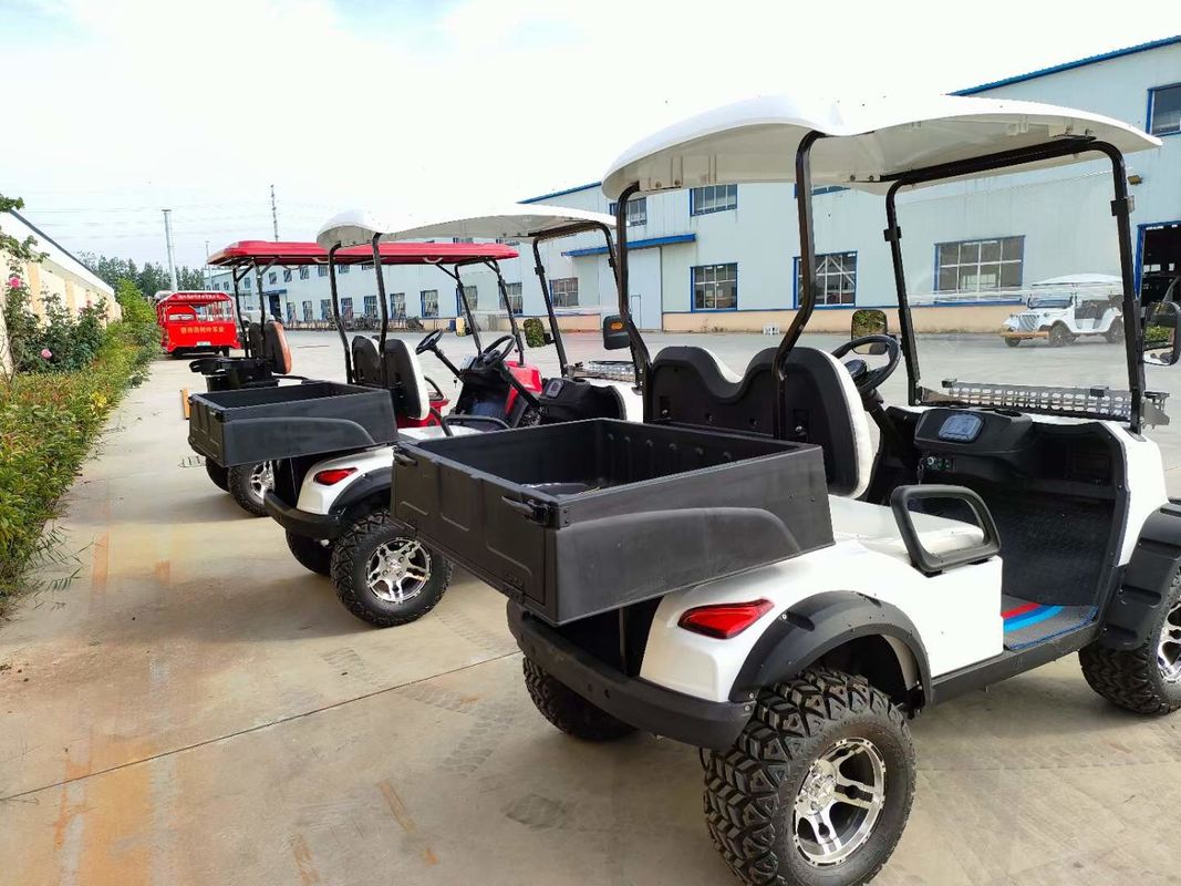 Support Customized Two-Seater Cargo Truck 4kw Aluminum Alloy Carbon Steel Plastic Rear Bucket
