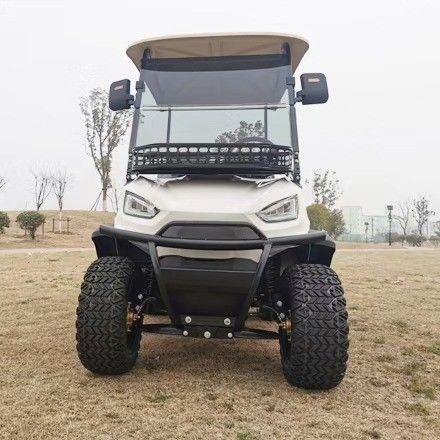 Support Customized Two-Seater Cargo Truck 4kw Aluminum Alloy Carbon Steel Plastic Rear Bucket
