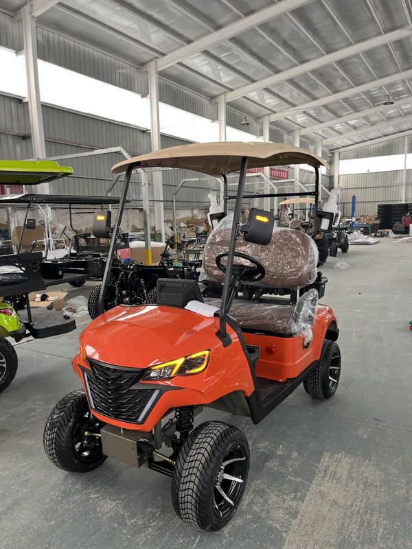 4kw Motor Golf Cart With Ball Washer And Sand Bottle For 2 Golf Courses  Equipped Lead-Acid Battery Or Lithium Battery