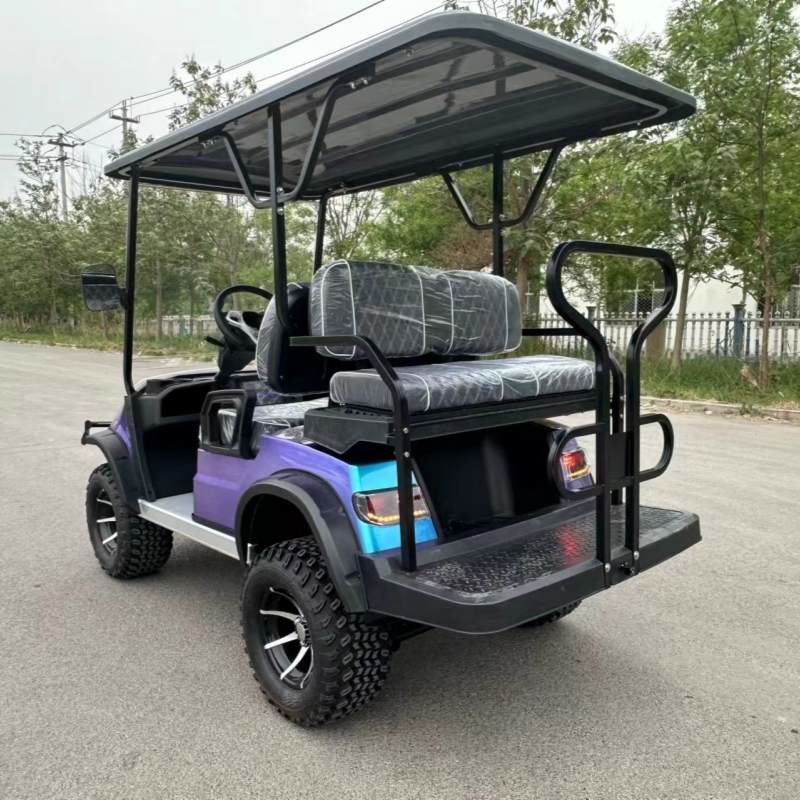 Golf Cart 4 Passenger Color Changing Paint Lithium Battery Max Speed 40km/h Off Road Tires