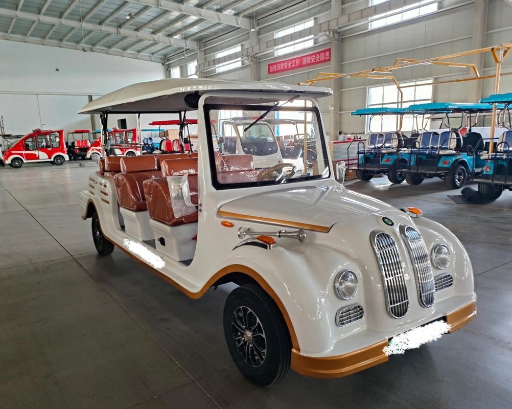 11 posti auto elettrica classica viaggi retro auto turistica con telone per adulti