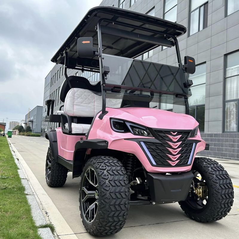 Electric Golf Cart With Canopy 60v 100ah Lead Acid Battery Front Bumper And Radio