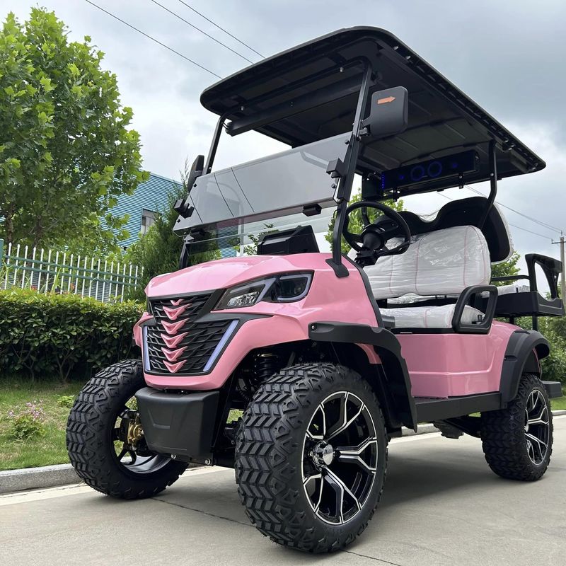Electric Golf Cart With Canopy 60v 100ah Lead Acid Battery Front Bumper And Radio