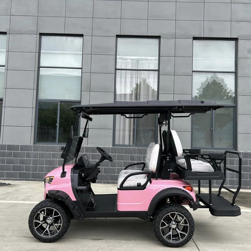 Electric Golf Cart With Canopy 60v 100ah Lead Acid Battery Front Bumper And Radio