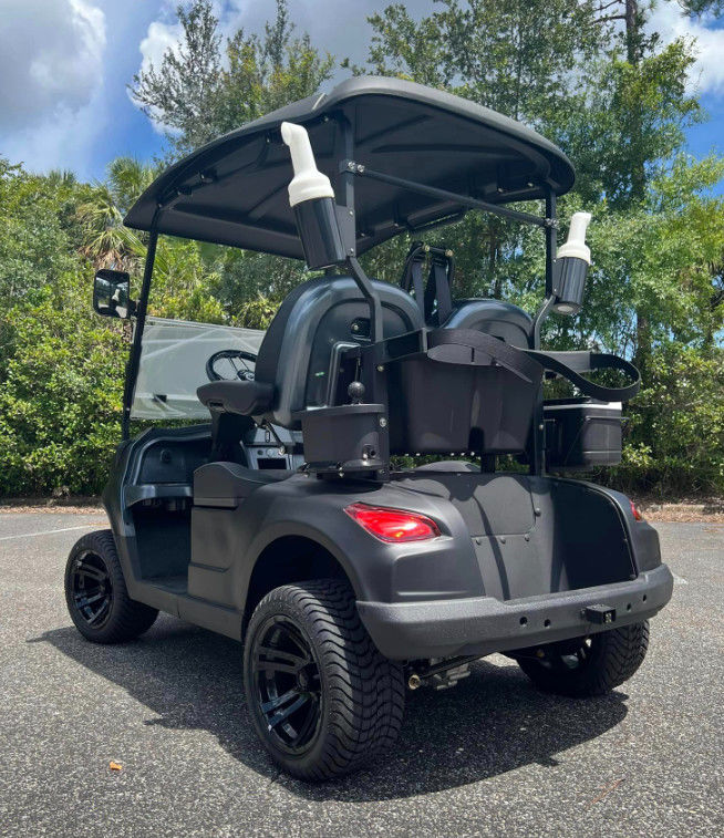 2 Passenger Golf Cart Electric 4kw Power Small Off Road Premium Quality 60V 100AH