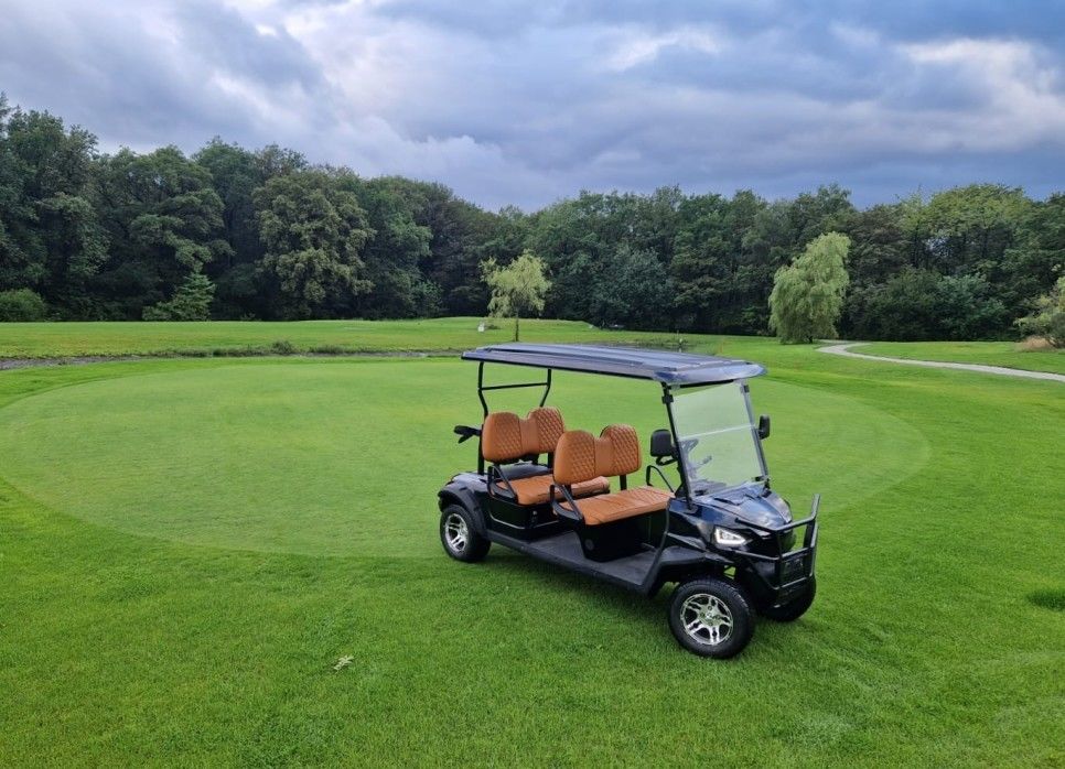 Black 4 Seater Golf Cart With Stitched Seats Max Speed 40km/H Suitable For Scenic Spots And Golf Courses Road Legal