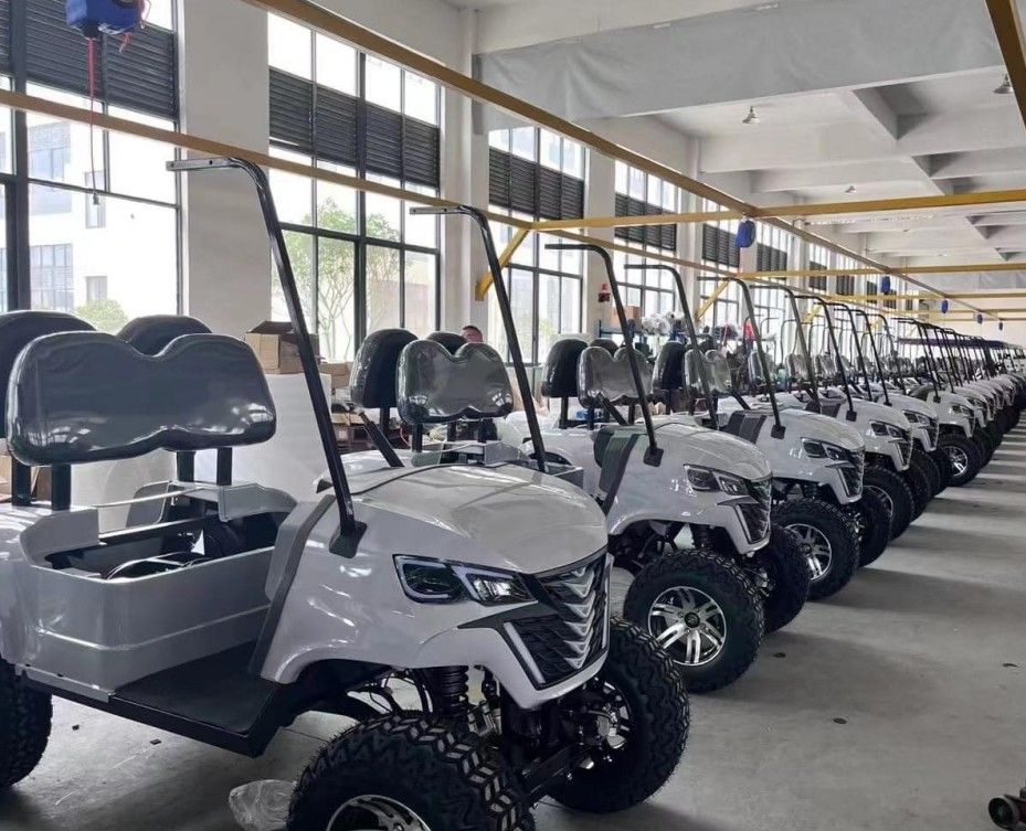 Wysokiej wydajności wózek golfowy z długotrwałą baterią litową Idealny dla pól golfowych