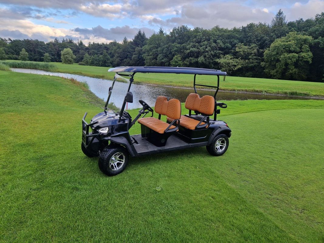 4 Seat Golf Cart With 48V Battery System Fast Charging Capability Powerful AC Motor