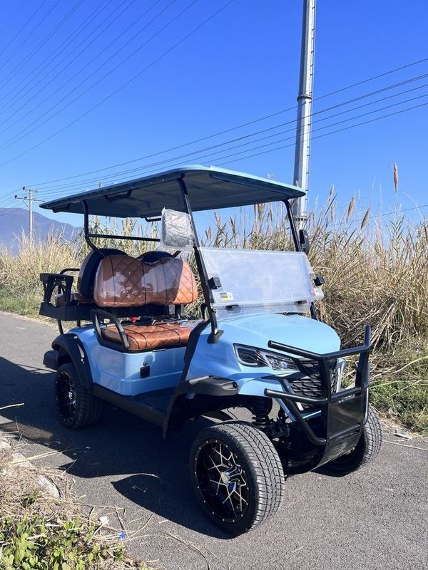 Electric Golf Cart 4kw/5kw/7kw Lead-Acid Battery  2+2 Seater Street Legal 4 Passenger