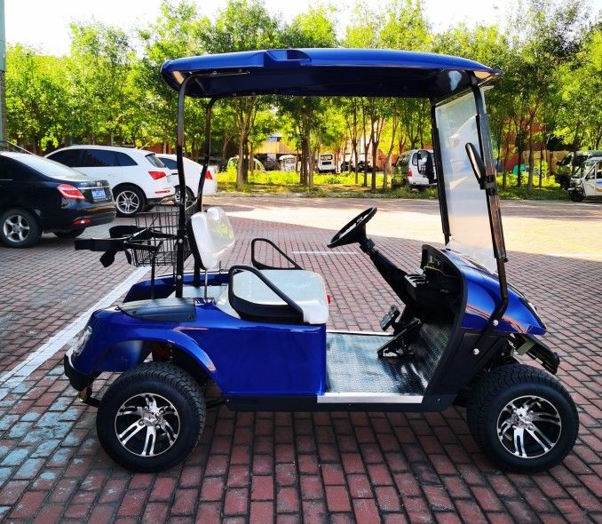 Export EV 2 Seater Golf Cart 48V 3.5KW AC System Good Quality Golf Trolley