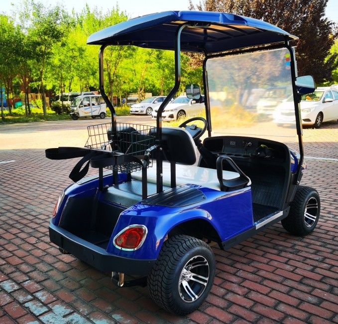 Export EV 2 Seater Golf Cart 48V 3.5KW AC System Good Quality Golf Trolley