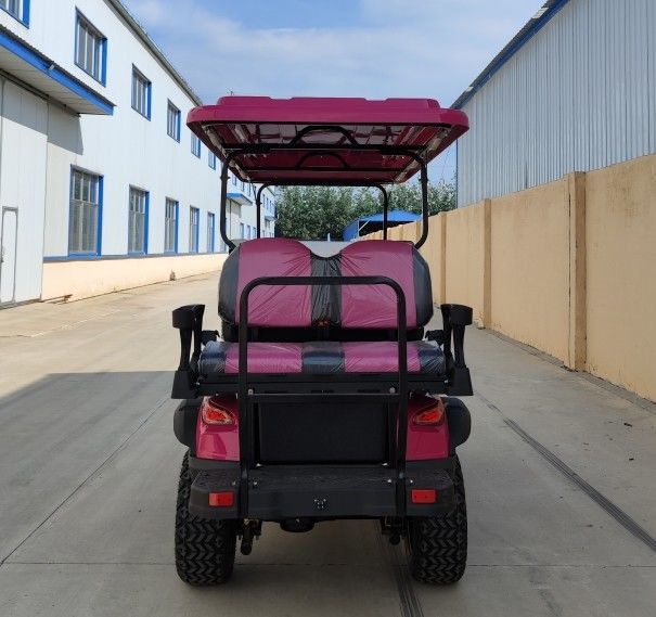 Pink 4+2 Golf Cart 5kw Motor With Lithium Battery And 12'' Off -Road Tires