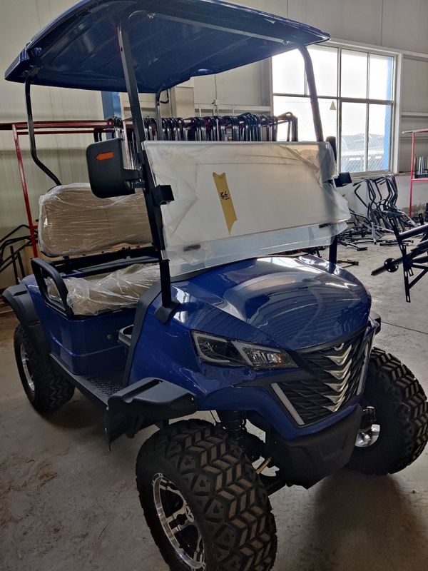 Blue 2 Seater Electric Off-Road Golf Cart High Power 12'' Tires With Disc Brake And Lithium Battery