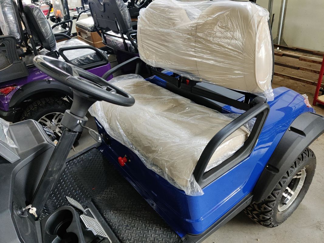 Blue 2 Seater Electric Off-Road Golf Cart High Power 12'' Tires With Disc Brake And Lithium Battery