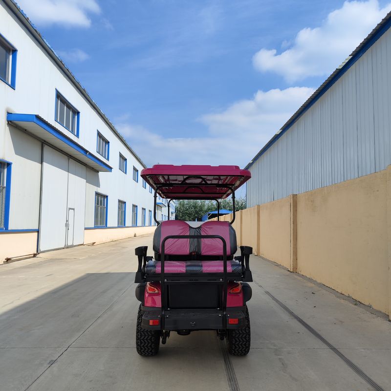 4+2 Seat Golf Cart Appearance Fashionable Design High-End Hot Sales 3.5/4/7Kw Performance Upgrades