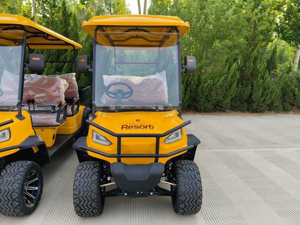 New Wholes Electric Power Steering Golf Truck Cheap Price Evolution Small Golf Cart Fast