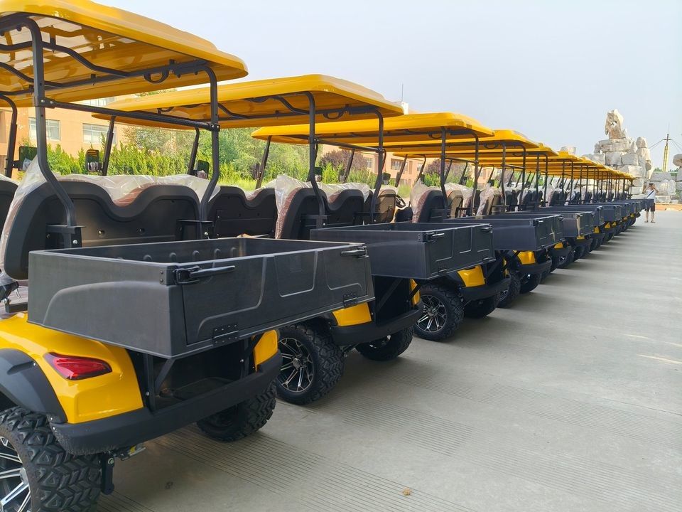 New Wholes Electric Power Steering Golf Truck Cheap Price Evolution Small Golf Cart Fast