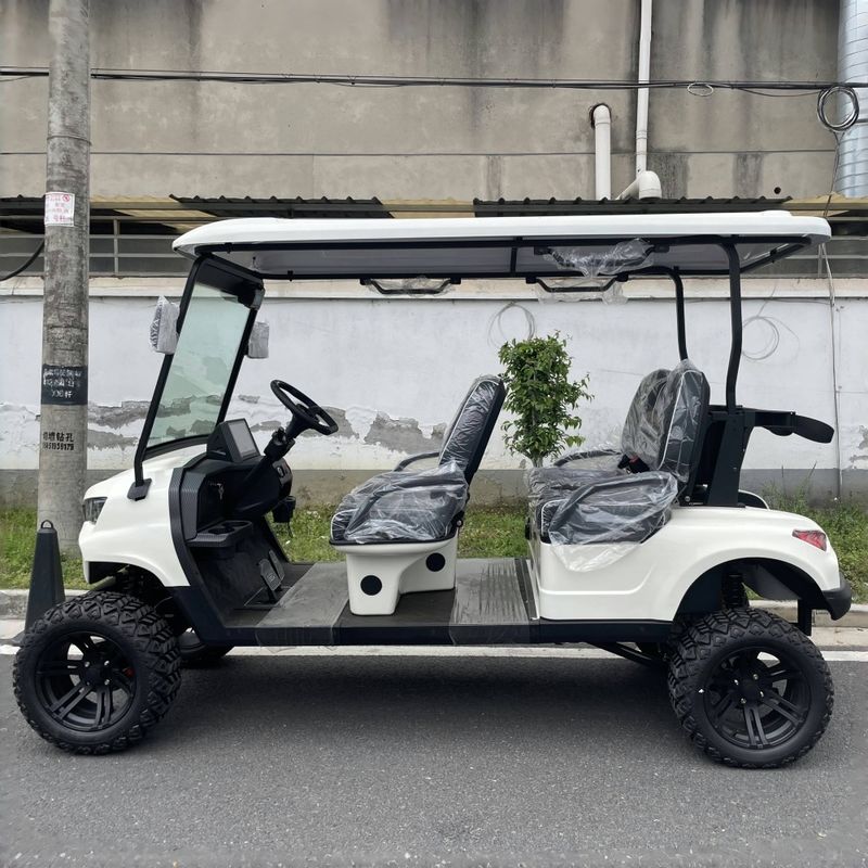 Stylish Appearance 5kw Motor Electric Lithium Battery Golf Cart 14 Inch Off-Road Tires Solid Chassis