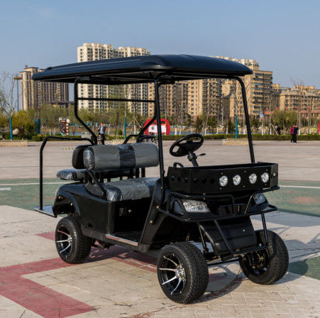 2+2 Person Modern Golf Cart Fast Electric Mini Mobility Steering Hunting Golf Cart Wholesal