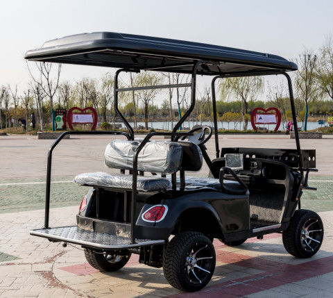2+2 Person Modern Golf Cart Fast Electric Mini Mobility Steering Hunting Golf Cart Wholesal