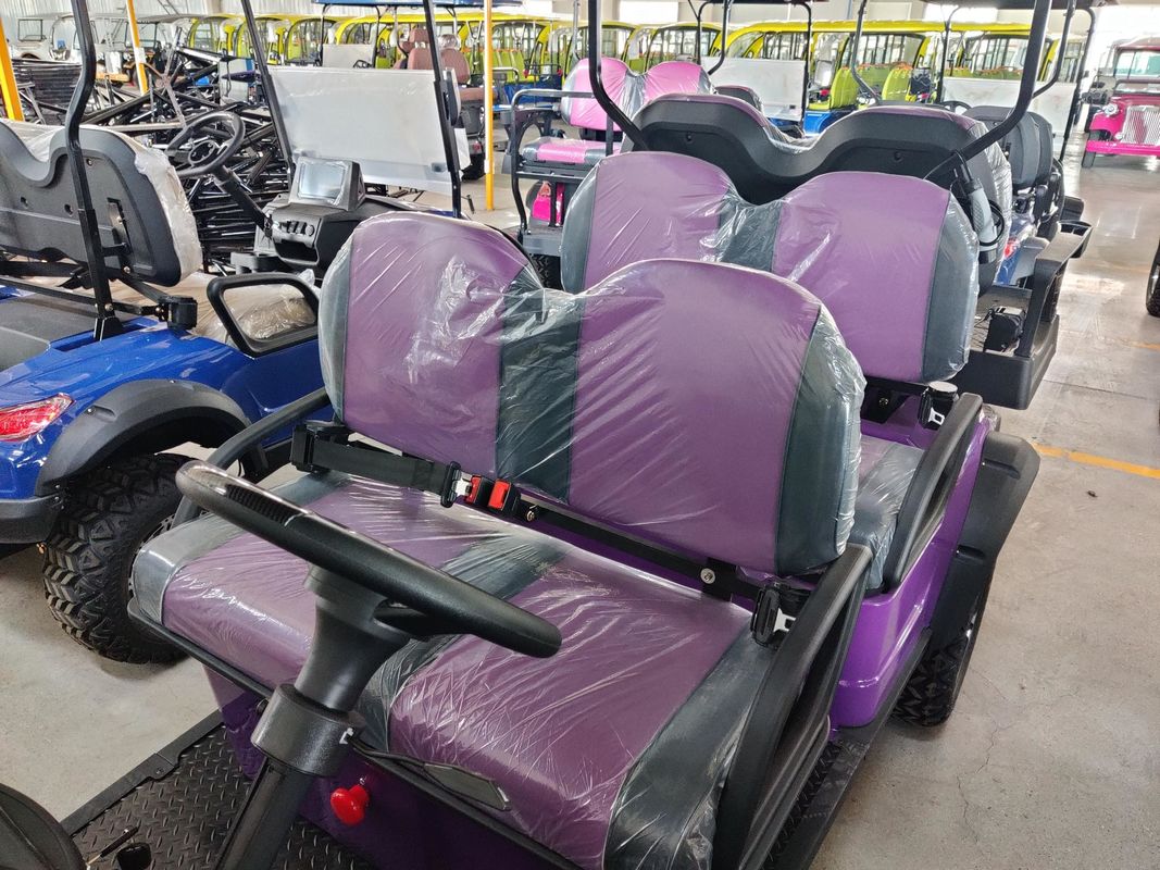 6 Seater 4 Wheel Golf Carts Scooter Electric 48V 100Ah Lithium Batteries Golf Cart