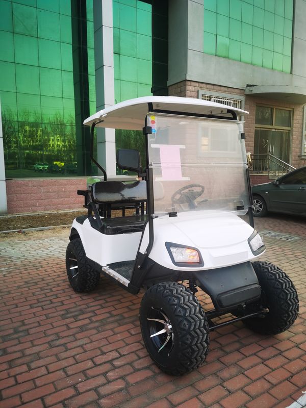 Two-Seater Classic New Energy Lithium Battery Electric Golf Cart With Customizable Color And LOGO